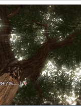 821 - 夏天的小秘密 3D日系安卓手机版+完整汉化硬盘版